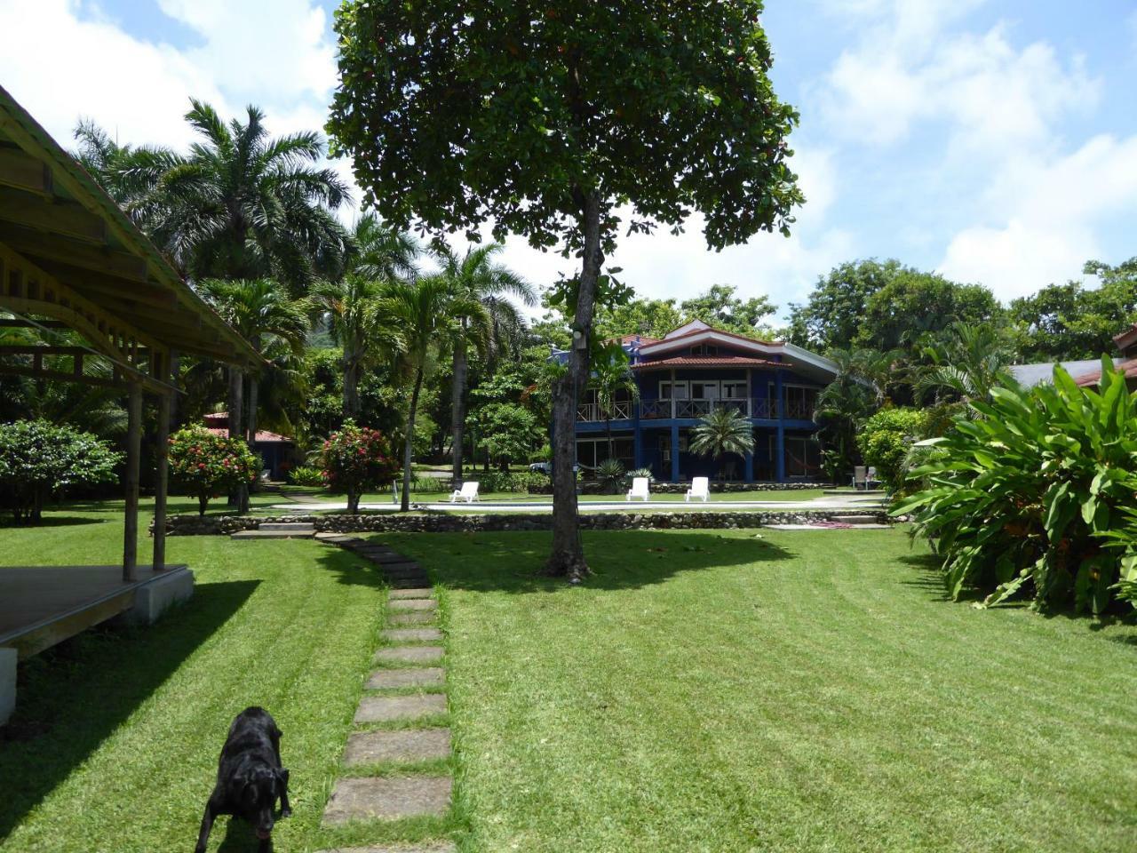 Hotel Casa Azul Playa Santa Teresa  Eksteriør bilde